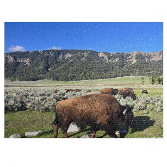 Yellowstone Bison jigsaw puzzle